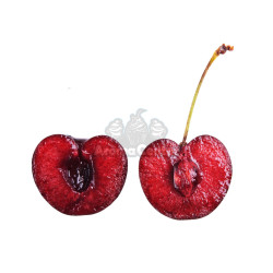 Cseresznye Maraschino tipusu