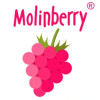 Molinberry