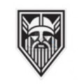 Nordic Vikings